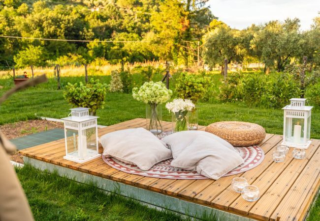 Villa in Capannori - Villa Ester Villa in Capannori - Villa Ester