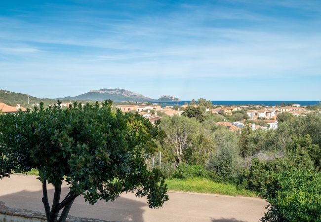 Ferienwohnung in Olbia - Sea Shell 17 - Rückzugsort mit Inselblick