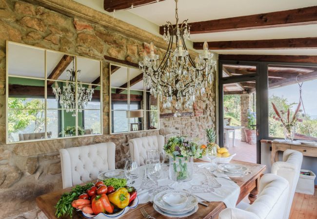 Villa in Pescia - Sospirata Farmhouse Villa in Pescia - Sospirata Farmhouse