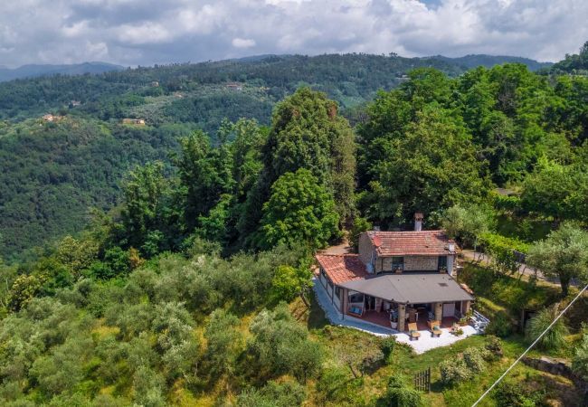 Villa in Pescia - Sospirata Farmhouse Villa in Pescia - Sospirata Farmhouse