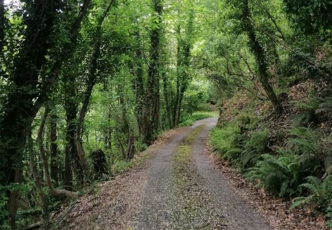 Villa in Pescia - Sospirata Farmhouse Villa in Pescia - Sospirata Farmhouse