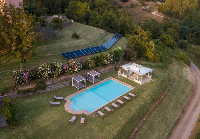 Villa in Lucca - Villa Domus Francigena Villa in Lucca - Villa Domus Francigena