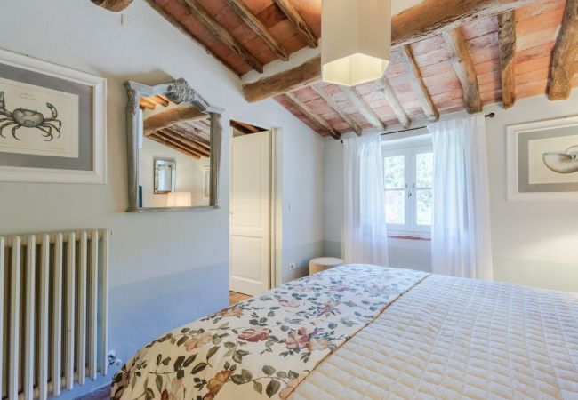 Villa in Lucca - Villa Domus Francigena Villa in Lucca - Villa Domus Francigena