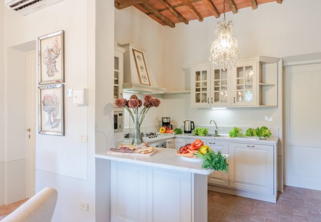 Villa in Lucca - Villa Domus Francigena Villa in Lucca - Villa Domus Francigena