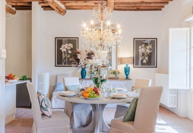 Villa in Lucca - Villa Domus Francigena Villa in Lucca - Villa Domus Francigena