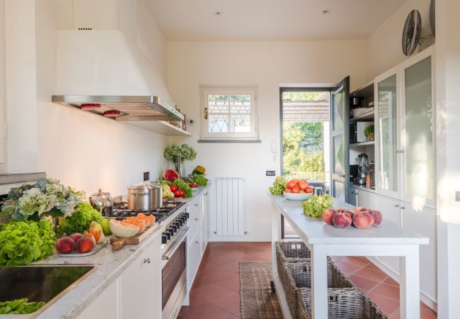 Villa in Pietrasanta - Villa Desiree Villa in Pietrasanta - Villa Desiree