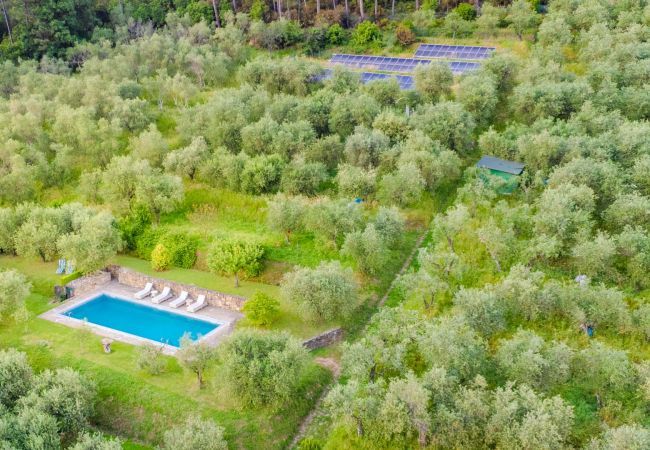 Villa in Capannori - Citrus Charm Farmhouse Villa in Capannori - Citrus Charm Farmhouse