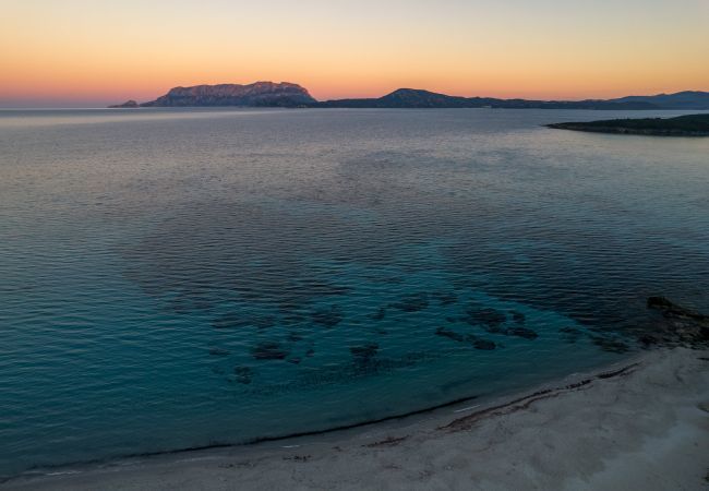 Chalet in Olbia - Ca cele viola Chalet in Olbia - Ca cele viola