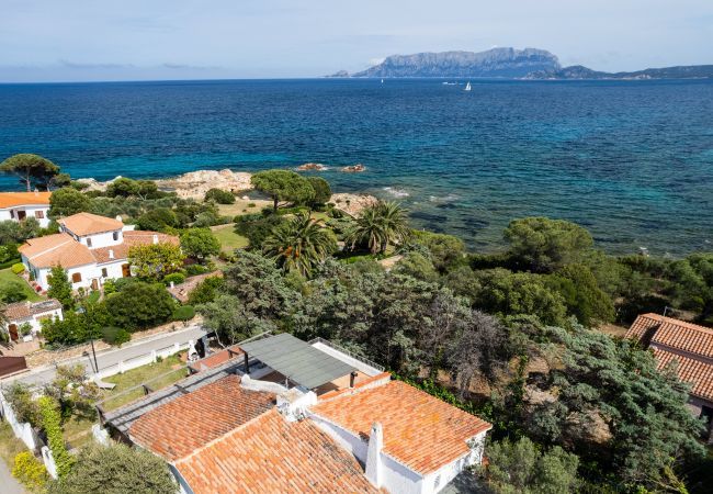 Chalet in Olbia - Ca cele viola Chalet in Olbia - Ca cele viola