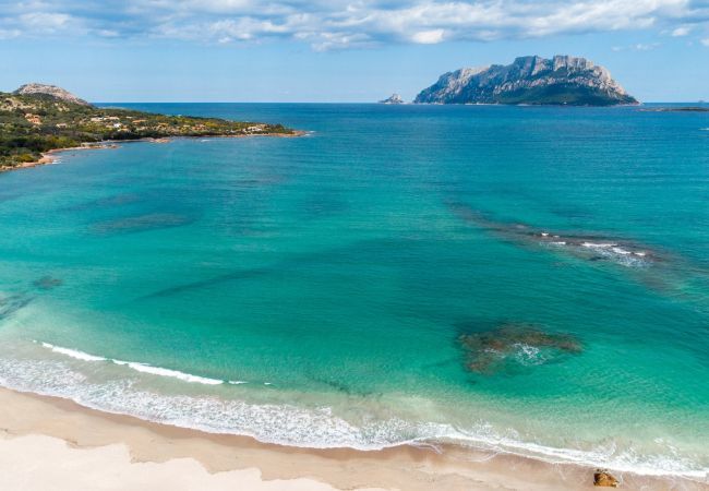 Villa in Olbia - Villa Aurazure Villa in Olbia - Villa Aurazure