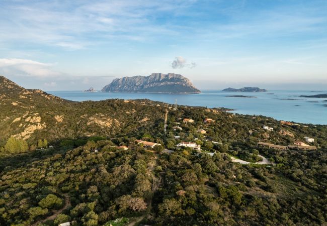 Villa in Olbia - Villa Aurazure Villa in Olbia - Villa Aurazure