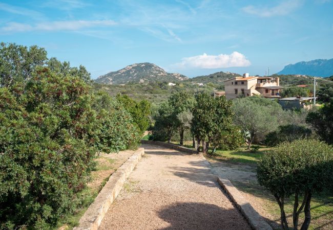 Villa in Olbia - Villa Aurazure Villa in Olbia - Villa Aurazure