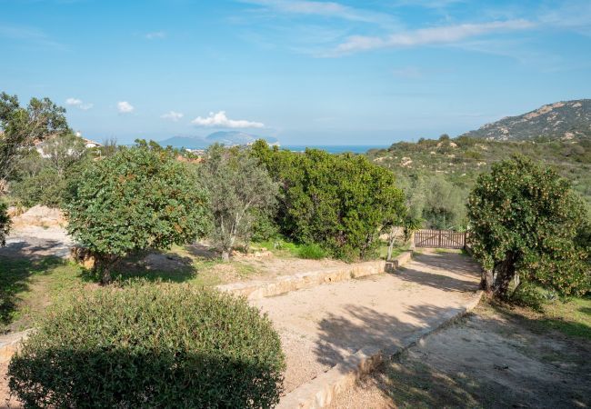 Villa in Olbia - Villa Aurazure Villa in Olbia - Villa Aurazure