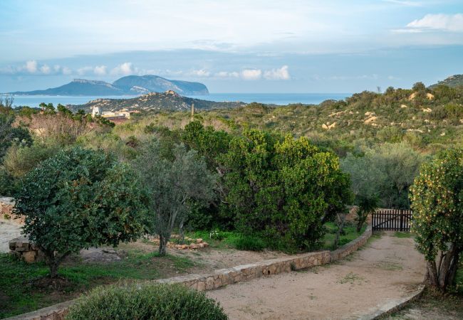 Villa in Olbia - Villa Aurazure Villa in Olbia - Villa Aurazure