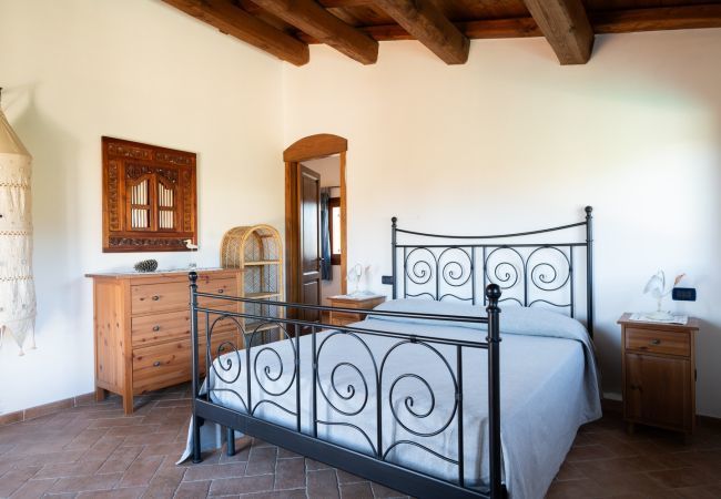 Villa in Olbia - Villa Calyra Villa in Olbia - Villa Calyra