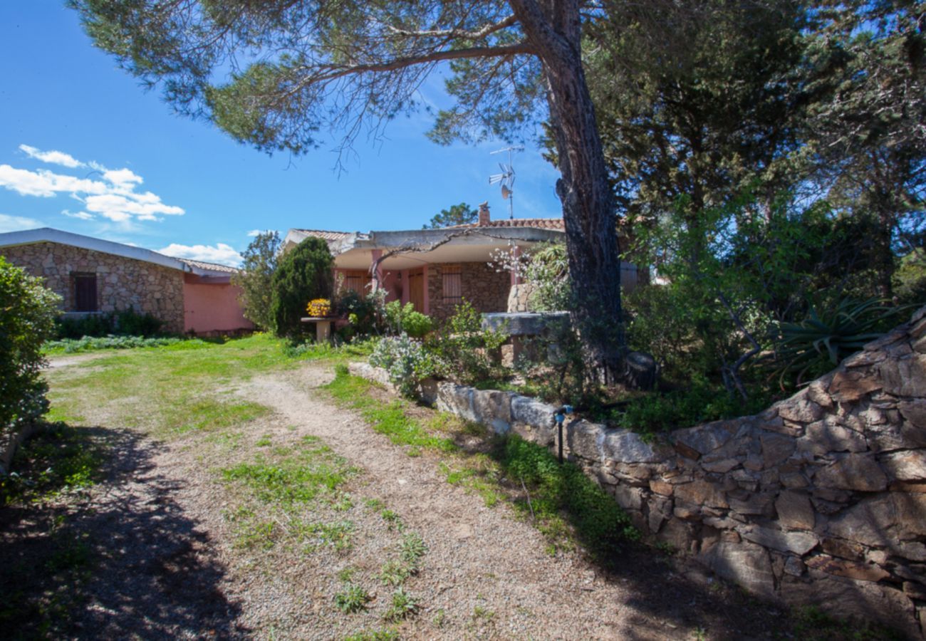 Chalet in Olbia - Villa Bados 6