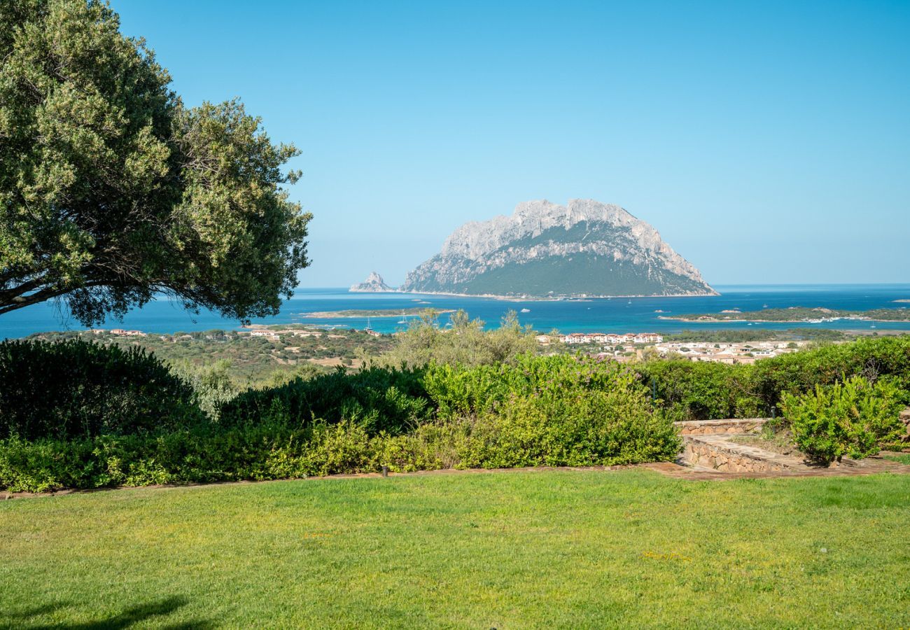 Villa in Porto San Paolo - Villa Alberto