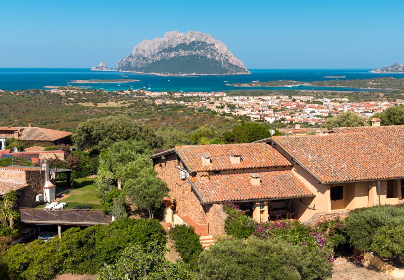 Villa in Porto San Paolo - Villa Alberto