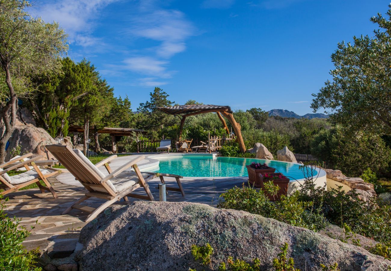 Villa in Porto Rotondo - Villa Sa Jaga - Infinity-pool mit blick auf den sonnenuntergang in Porto Rotondo | KLODGE