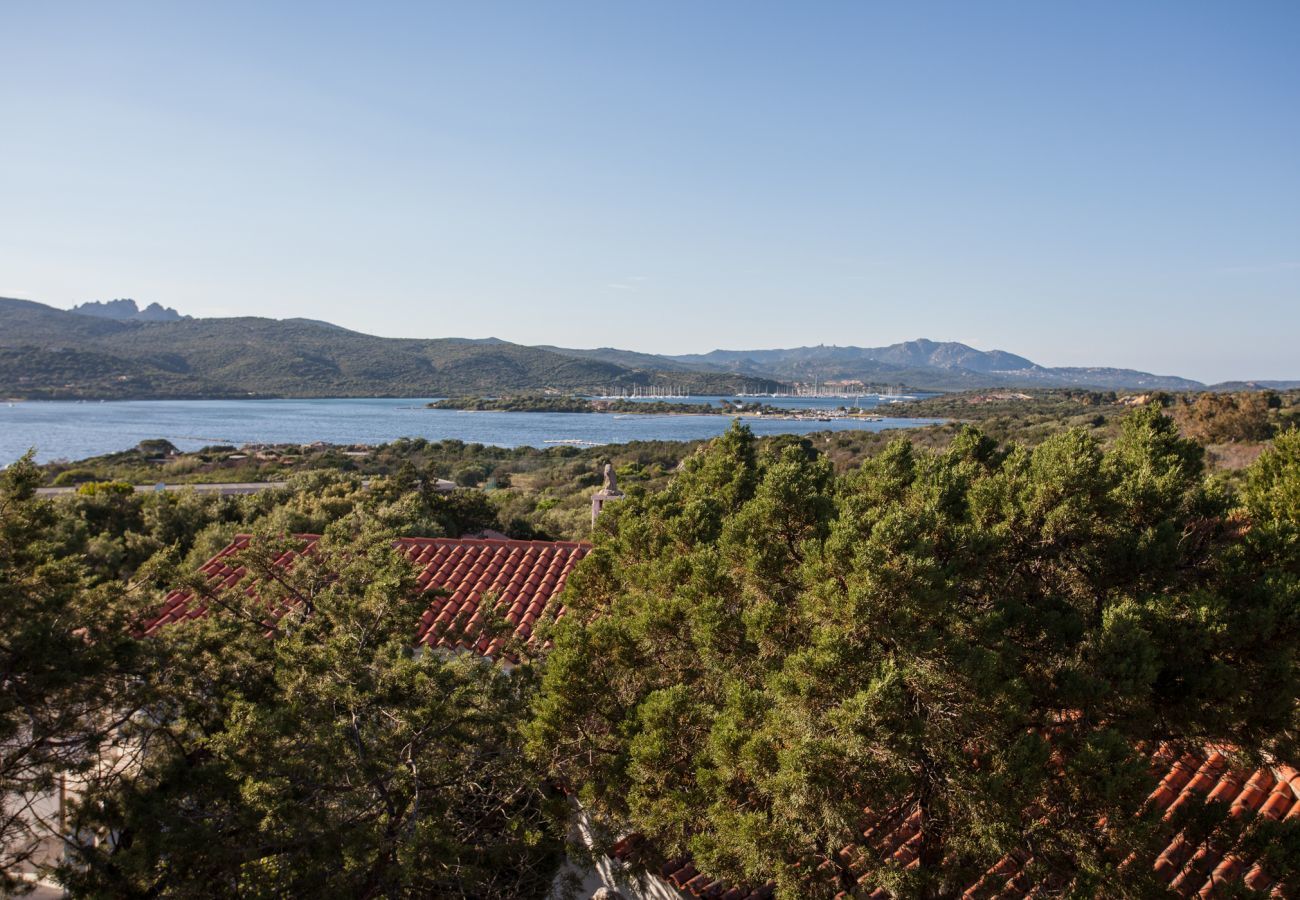 Villa in Porto Rotondo - Villa Sa Jaga - Infinity-Pool mit Blick auf den Sonnenuntergang, Porto Rotondo