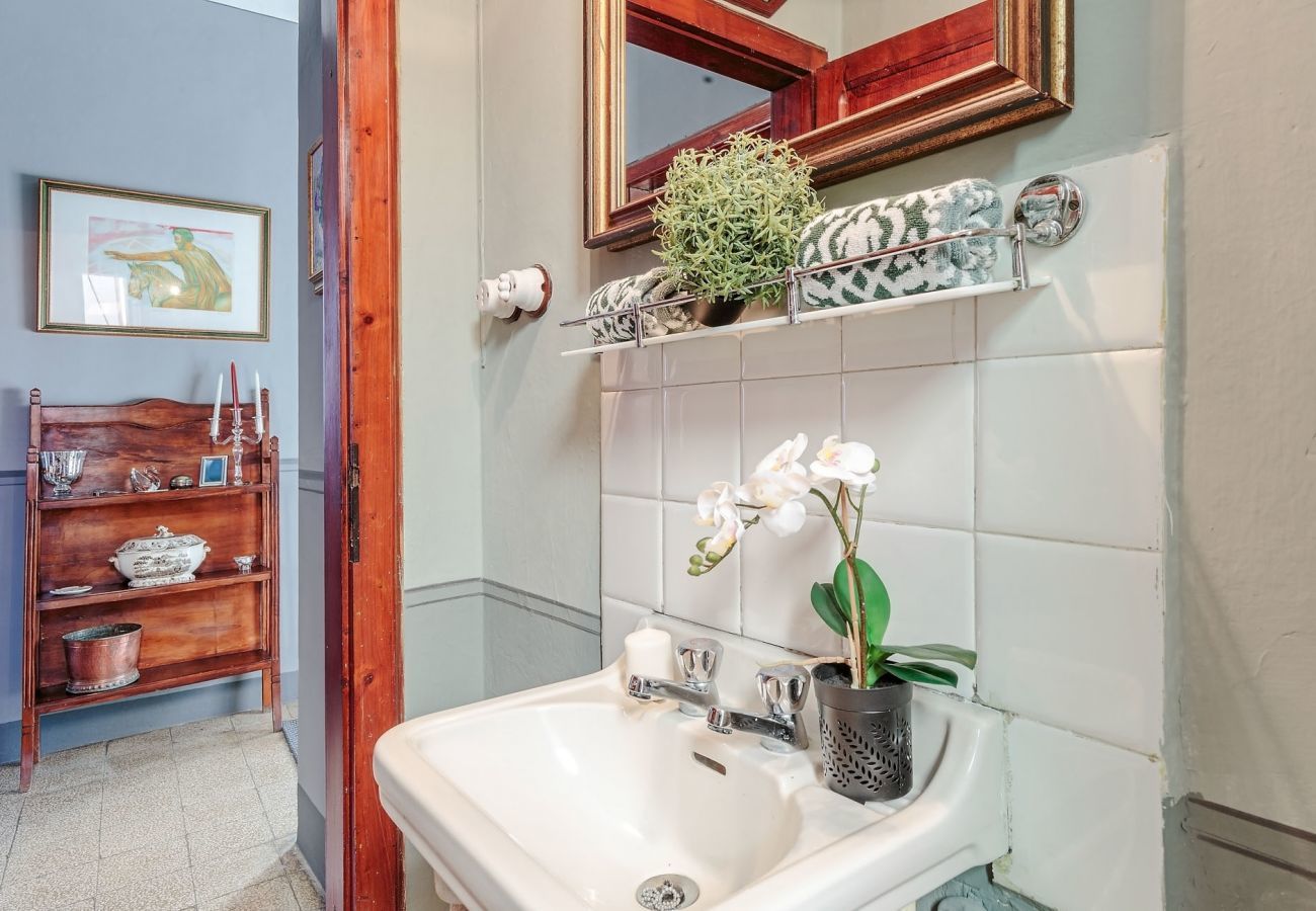 Villa in Barga - Villa Zia Franca