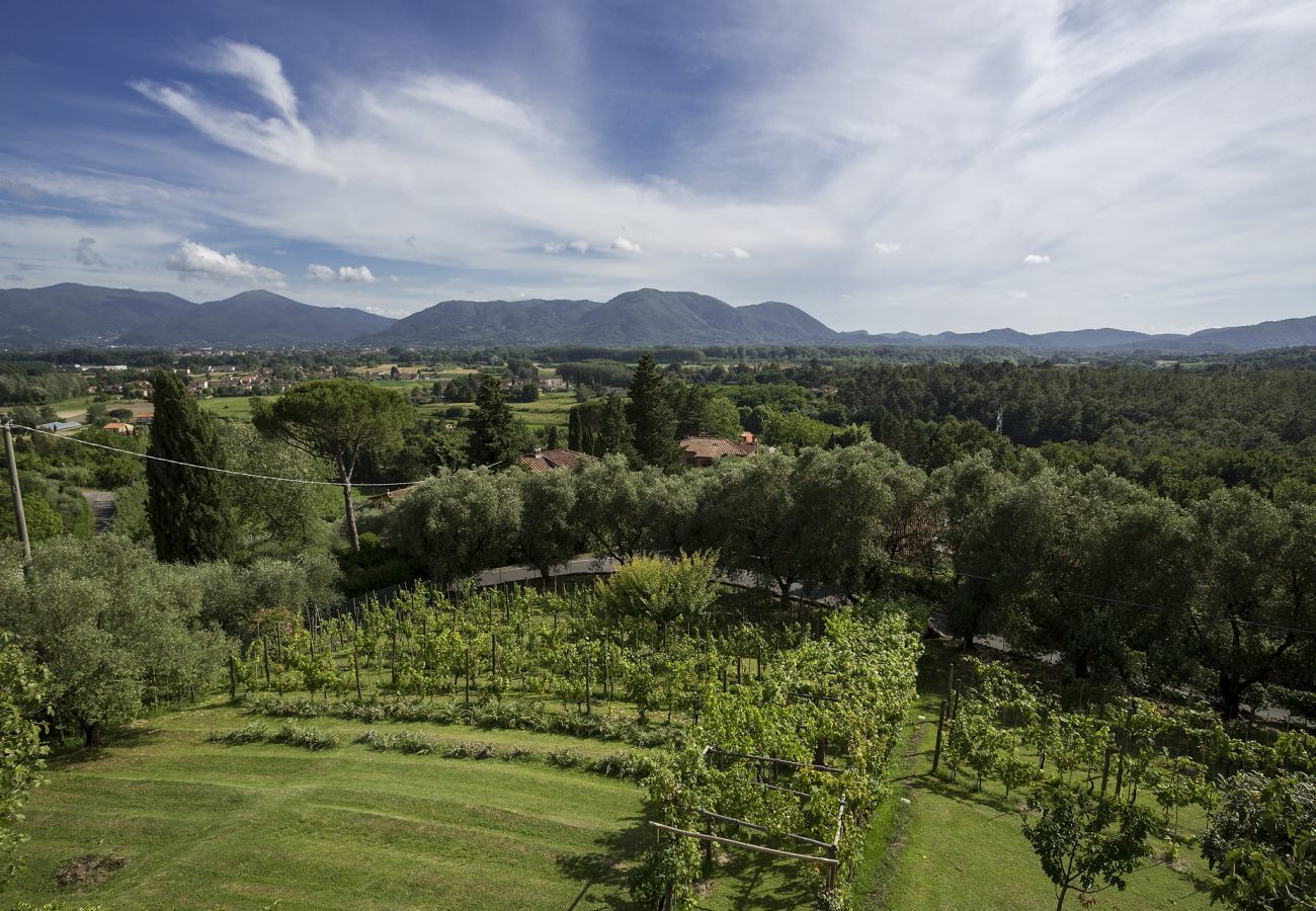 Villa in Lucca - Villa Carciofaia
