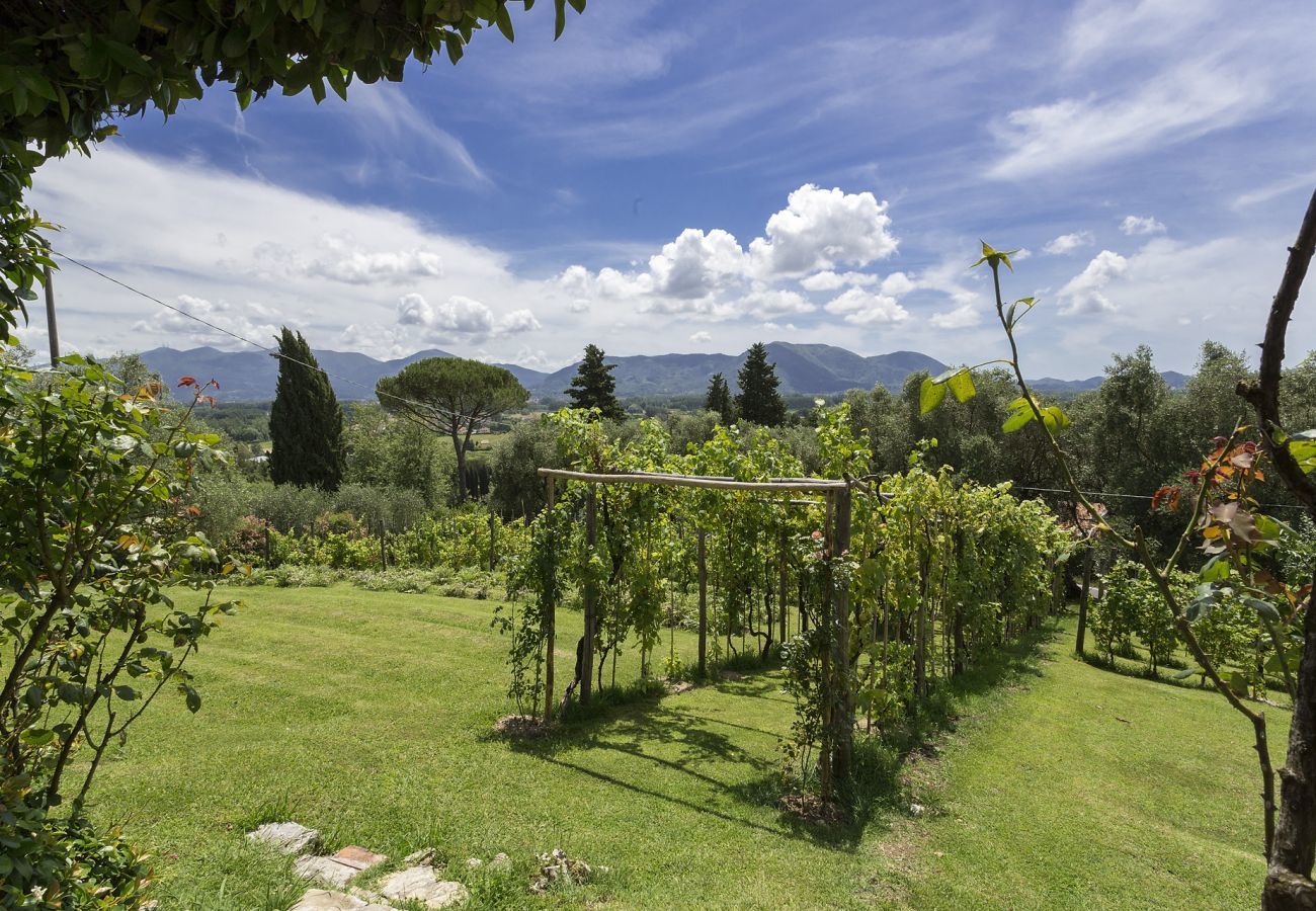 Villa in Lucca - Villa Carciofaia