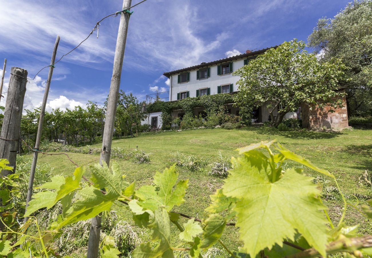 Villa in Lucca - Villa Carciofaia