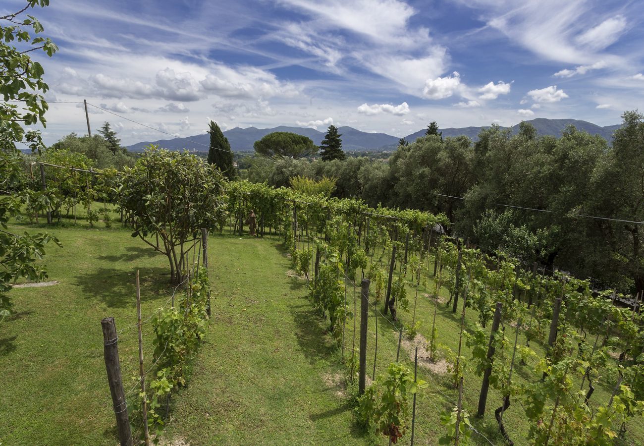 Villa in Lucca - Villa Carciofaia