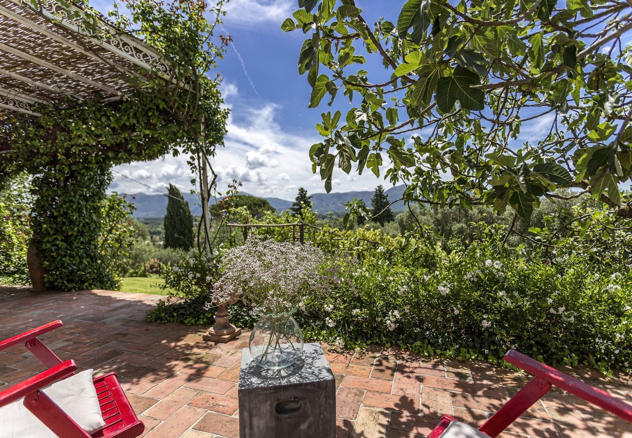 Villa in Lucca - Villa Carciofaia