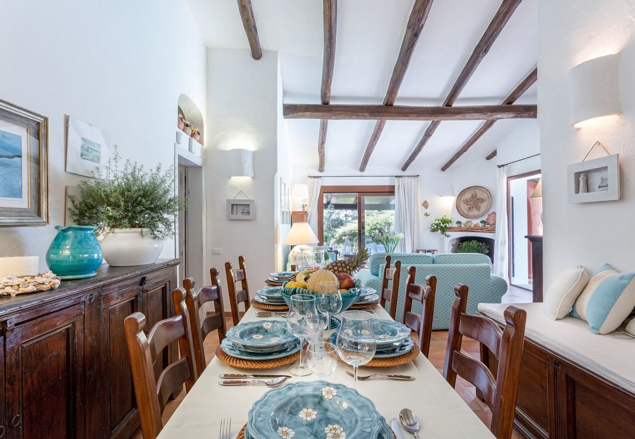 Villa in Santa Teresa Gallura - Villa Francesca