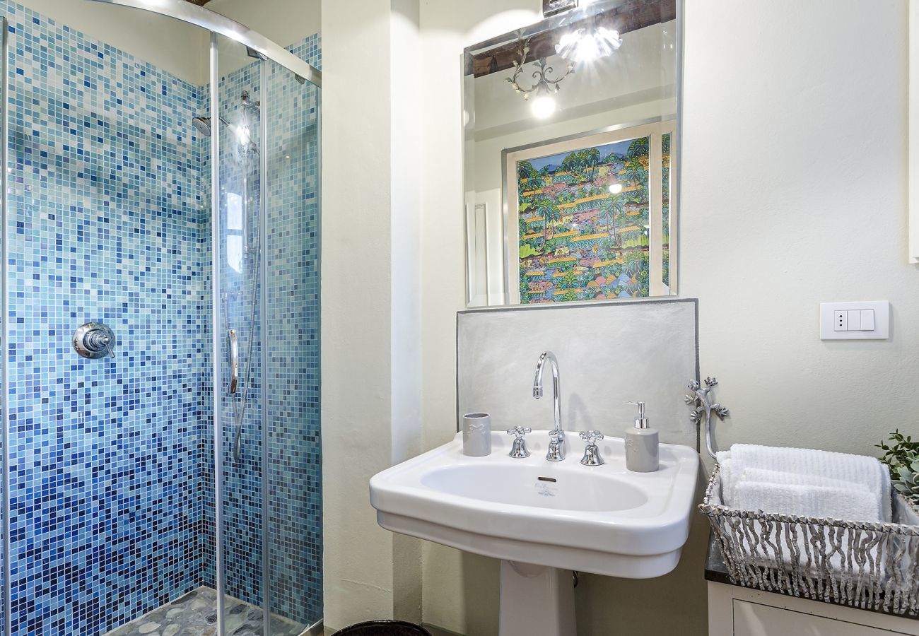 Villa in Capannori - Il Frantoio Farmhouse Apartment