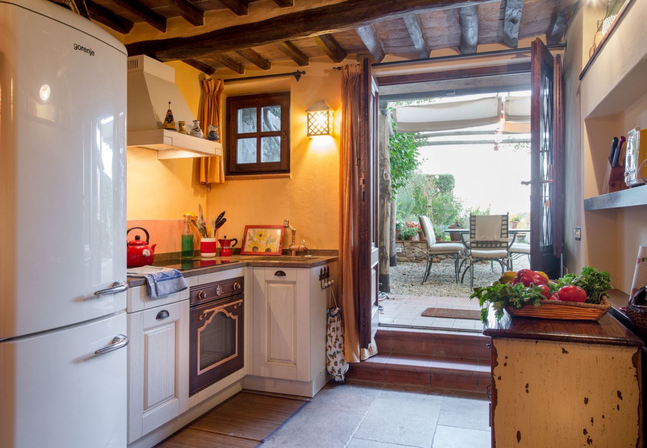 Villa in Capannori - Villa Virginia