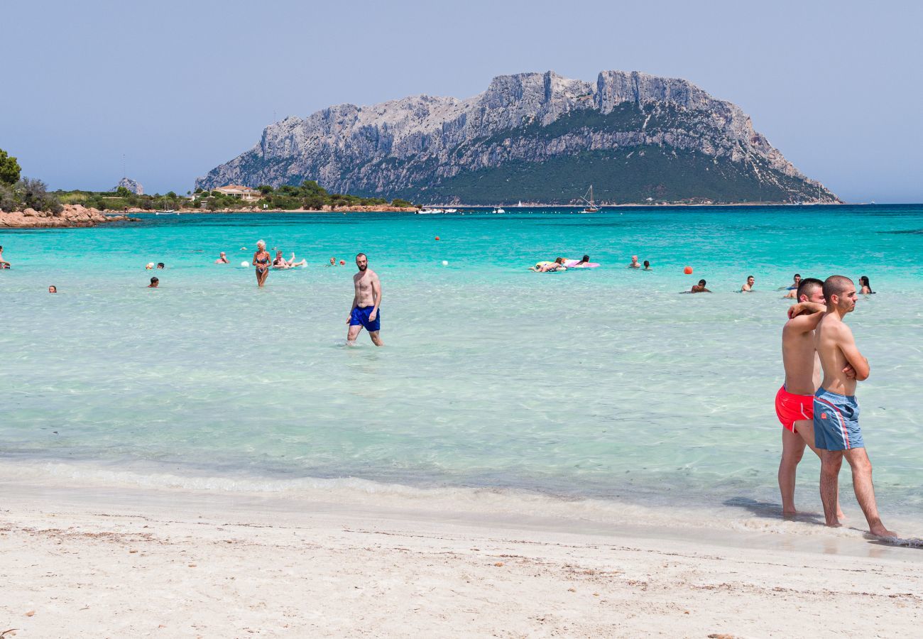 Ferienwohnung in Olbia - Myrsine 7S - Designwohnung, 4 Minuten vom Sandstrand entfernt