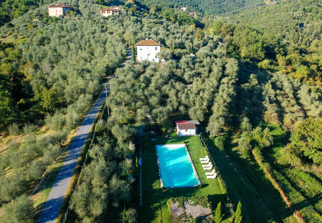 Villa in Lucca - VILLA QUERCIABELLA: Charm, Style and Pool on the Hills of Lucca