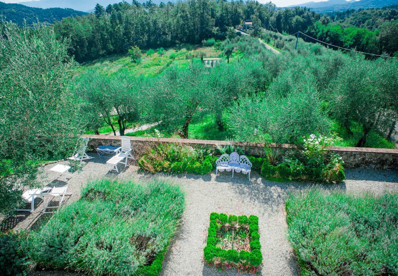 Villa in Lucca - VILLA QUERCIABELLA: Charm, Style and Pool on the Hills of Lucca