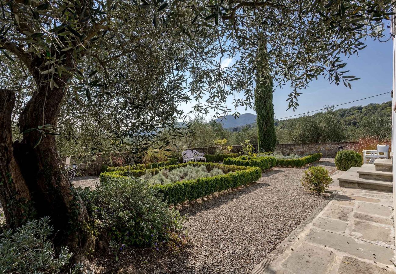 Villa in Lucca - VILLA QUERCIABELLA: Charm, Style and Pool on the Hills of Lucca