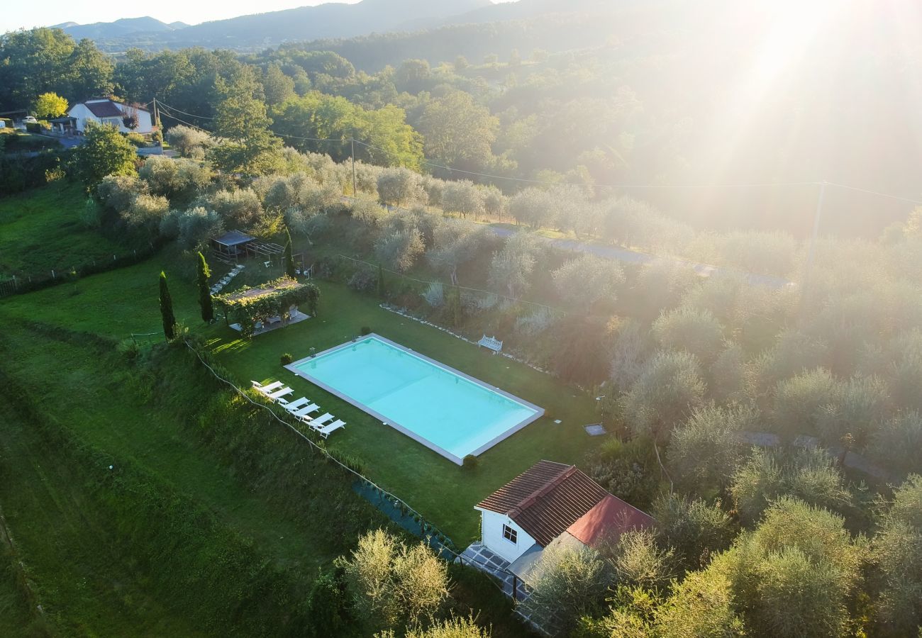 Villa in Lucca - VILLA QUERCIABELLA: Charm, Style and Pool on the Hills of Lucca