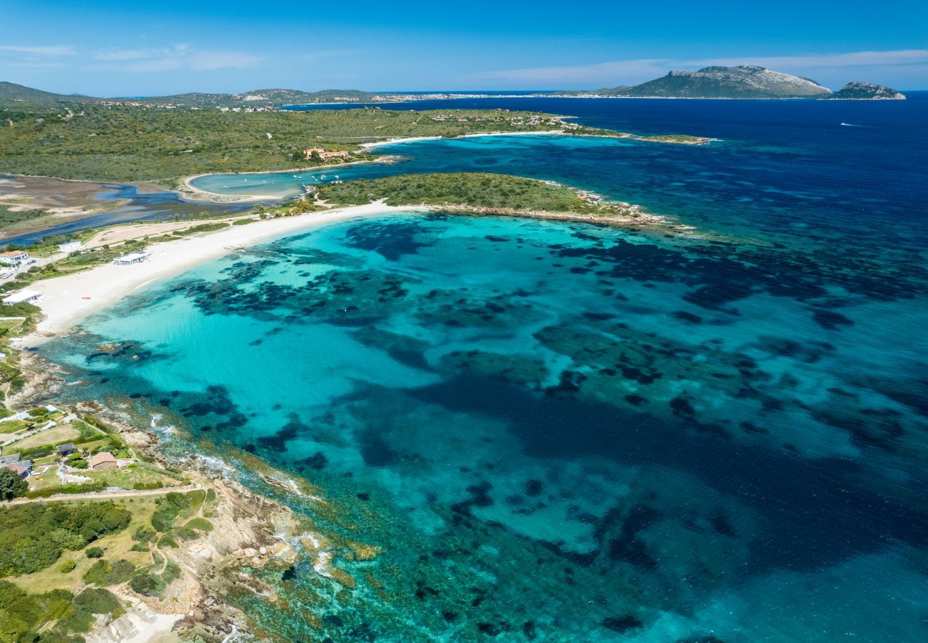 Ferienwohnung in Olbia - Bellosguardo 4 - Wohnung mit Meerblick Pittulongu