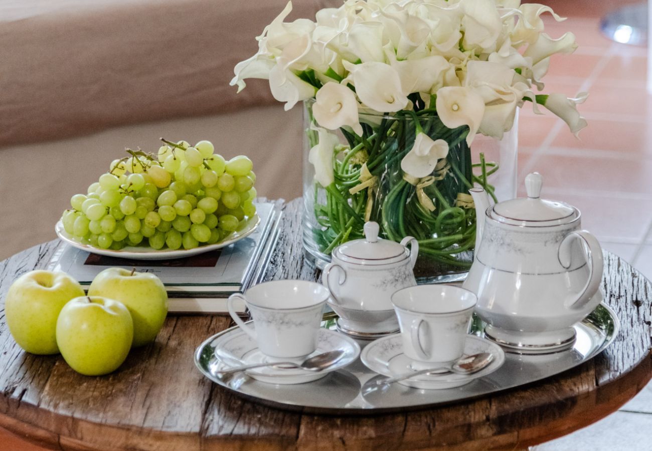 Villa in Pieve di Compito - Villa Coccinelle