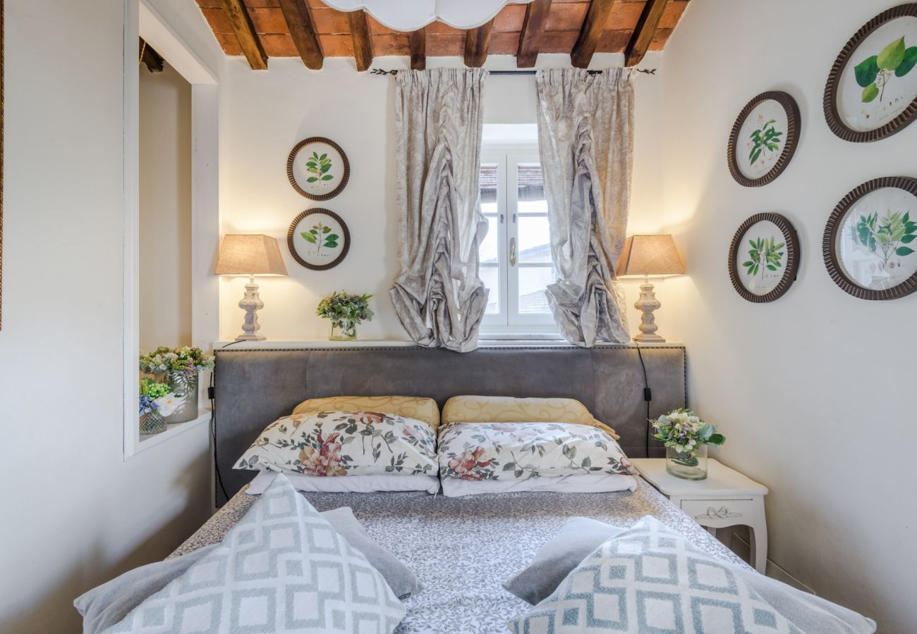 Villa in Pieve di Compito - Villa Coccinelle