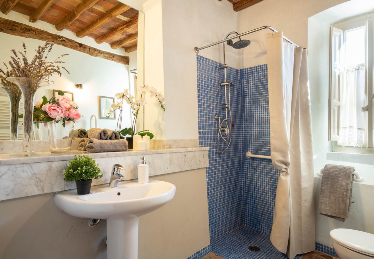 Villa in Capannori - VILLA IL TINAIO Romantic Secluded Farmhouse with Private Pool