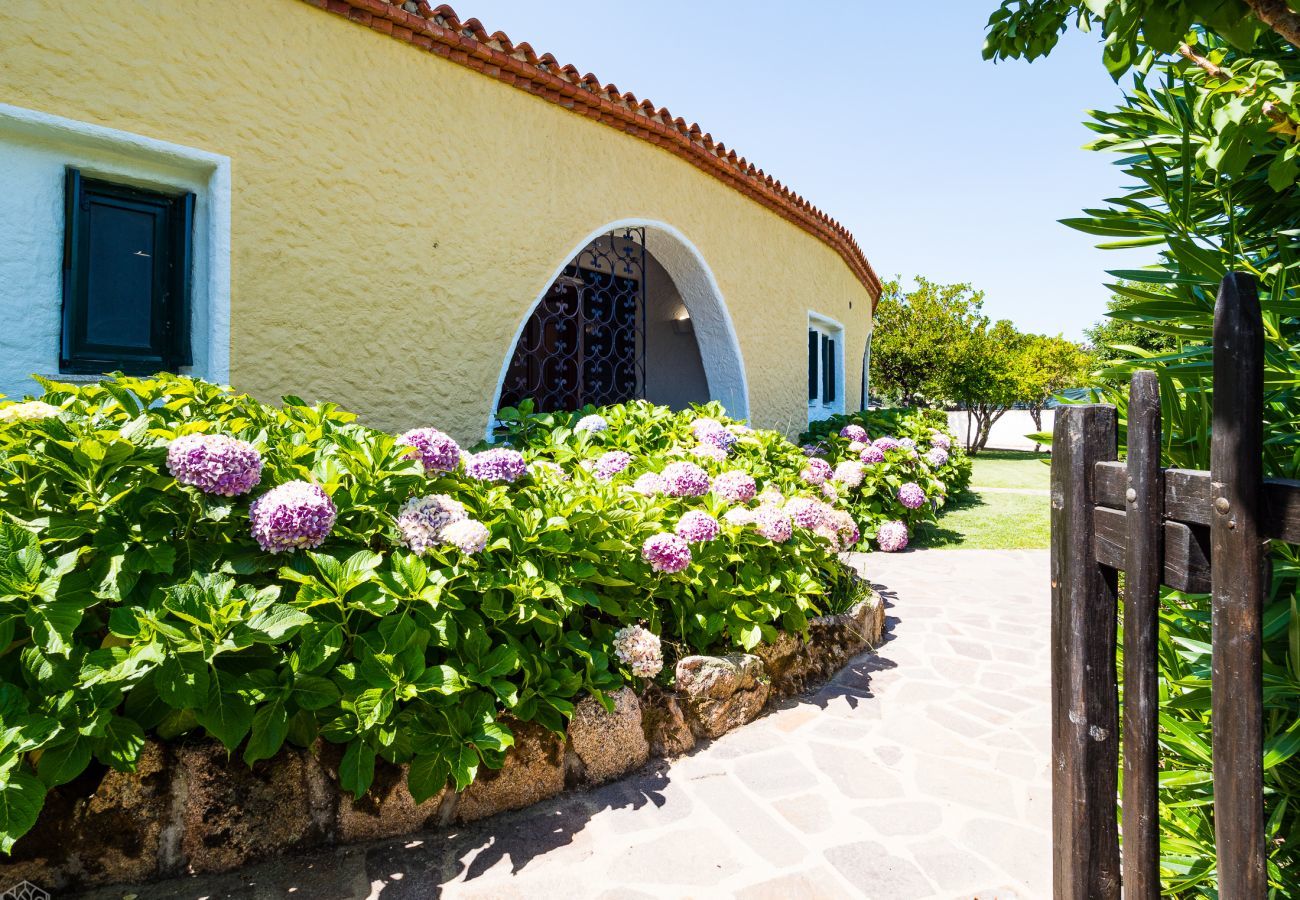 Ferienwohnung in Baia Sardinia - Rotonda Cottage 33 - moderne Wohnung mit Pool in Baja Sardinia