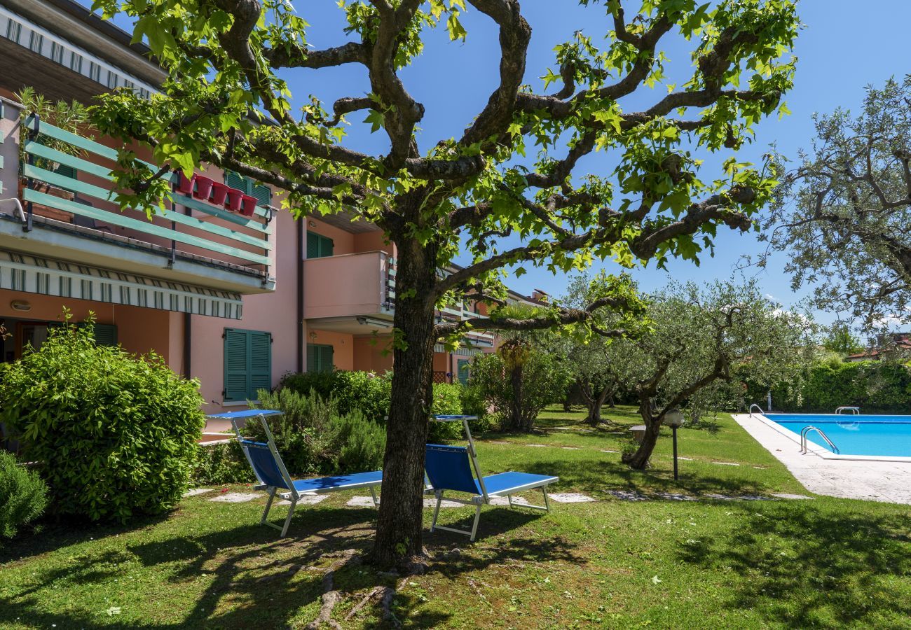 Ferienwohnung in Lazise - ORTENSIA
