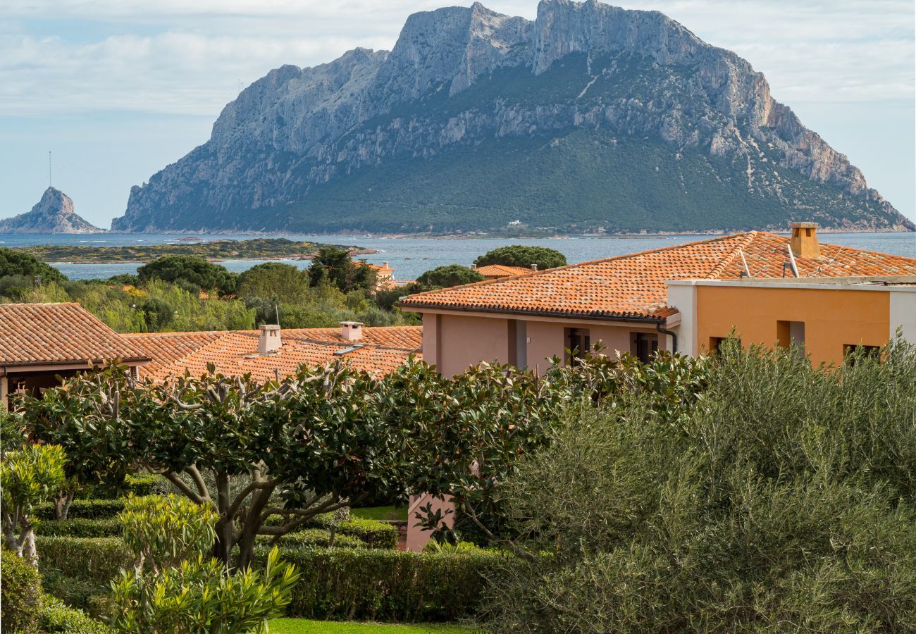 Ferienwohnung in Porto San Paolo - I Fari 116 - schöne Wohnung mit Blick auf Tavolara