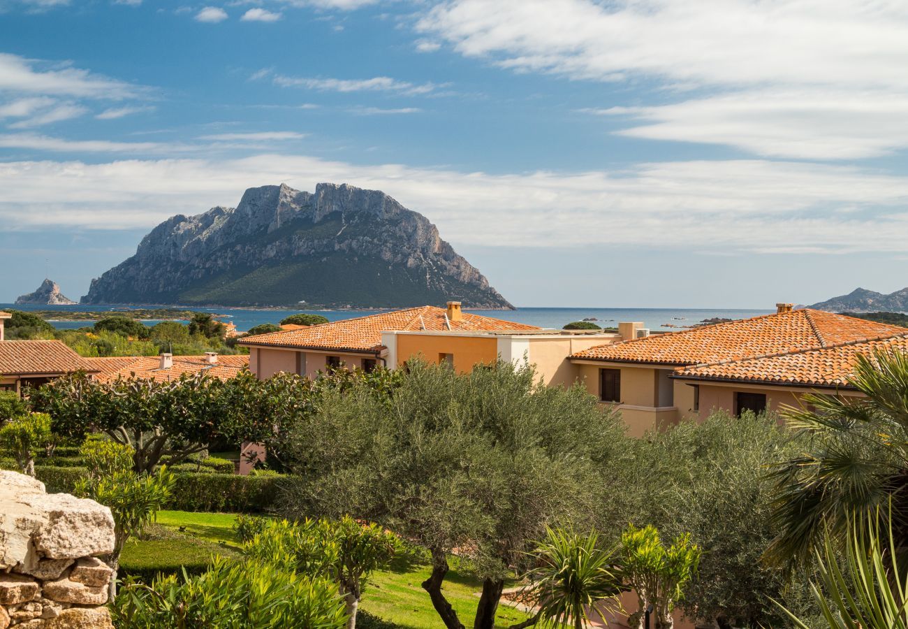 Ferienwohnung in Porto San Paolo - I Fari 116 - schöne Wohnung mit Blick auf Tavolara