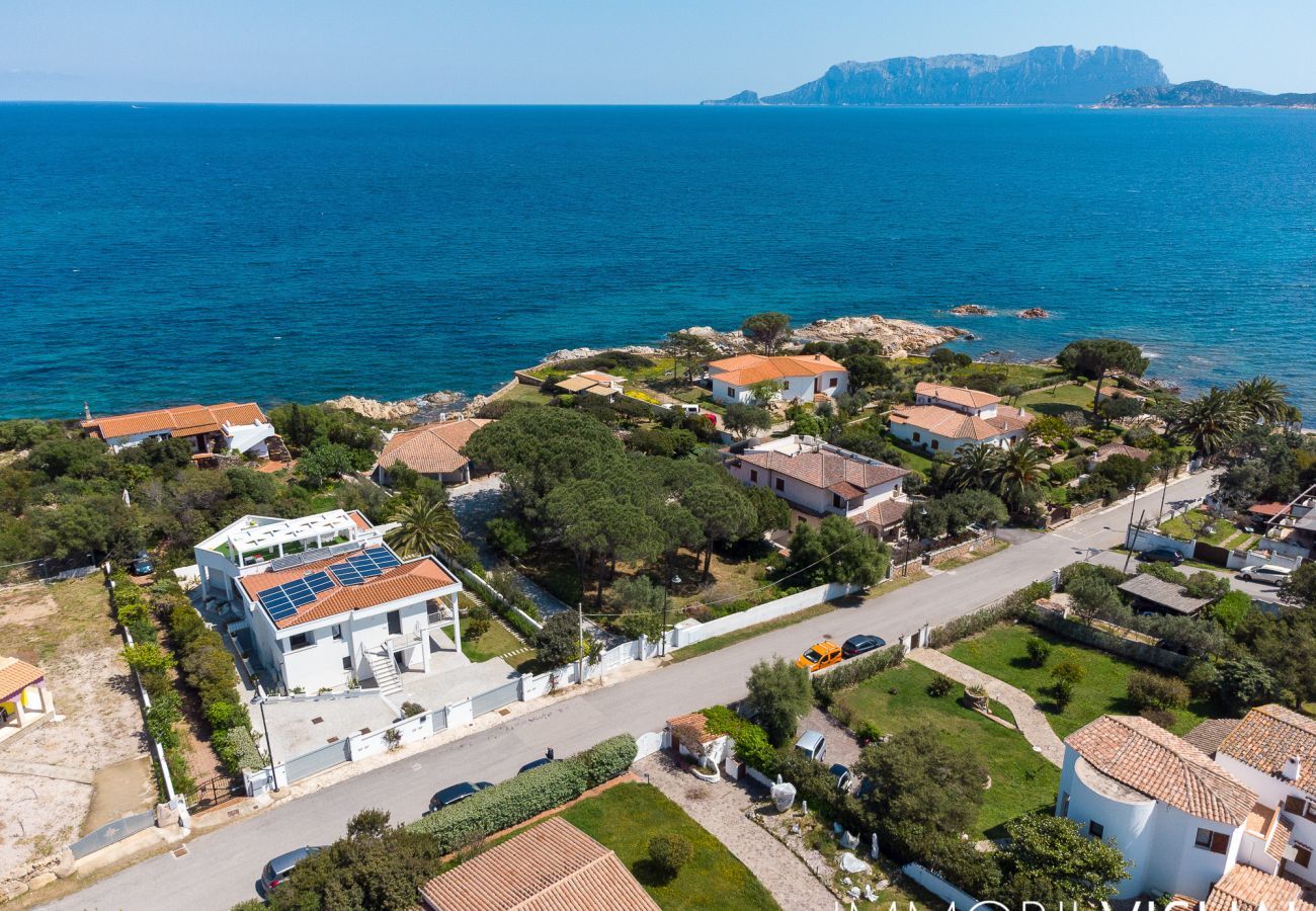 Ferienwohnung in Olbia - WLofts 14 by Klodge - Design-Loft mit Panorama-Solarium