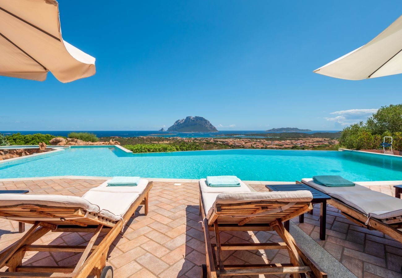 Villa in Porto San Paolo - Villa Halliv - Infinity-Pool mit Blick auf die Bucht von Tavolara