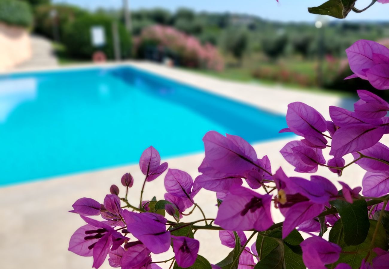 Ferienwohnung in Bardolino - NIDO DELL'ARTE