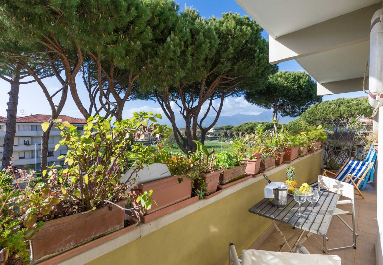 Ferienwohnung in Viareggio - La Casa Matta